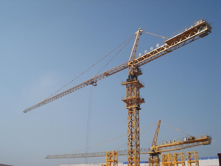 Chine 
                Grue à tour (QTZ160)
             fournisseur