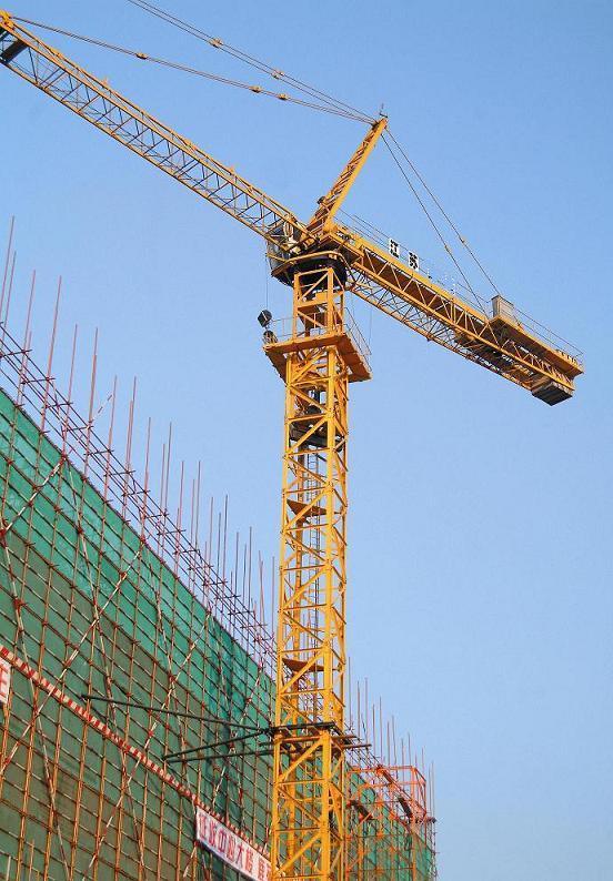 China 
                Tower Crane (QTZ40)
             supplier