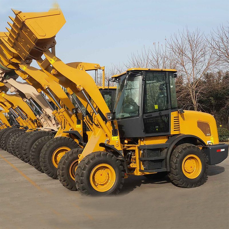 Chinese 2 Ton Loader with Different Usage Front End Loader