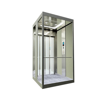 
                100kg 240V 전동식 홈 카고 엘리베이터
            