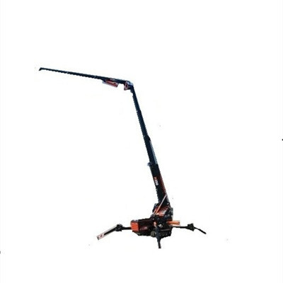 China 
                Mini Crane Portable Lifting Machine
             supplier