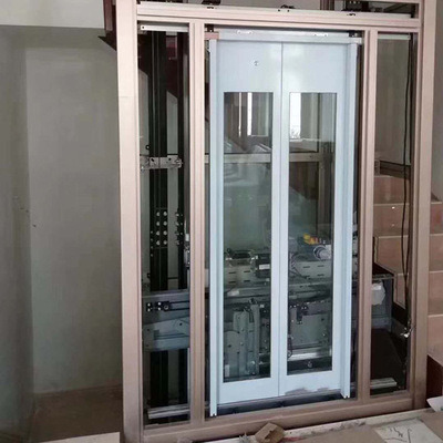 
                Outdoor and Indoor Wall Mounted Vertical Cargo Elevator
            