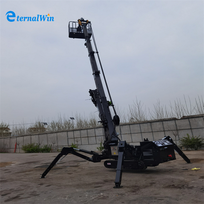 3ton Black Colour Spider Crawler Crane Diesel Electric Dual Power with Basket Fly Jib