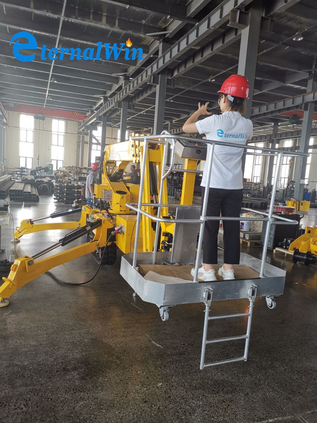 Factory Clawler Crane for Sale with Extended Jib&Cabin