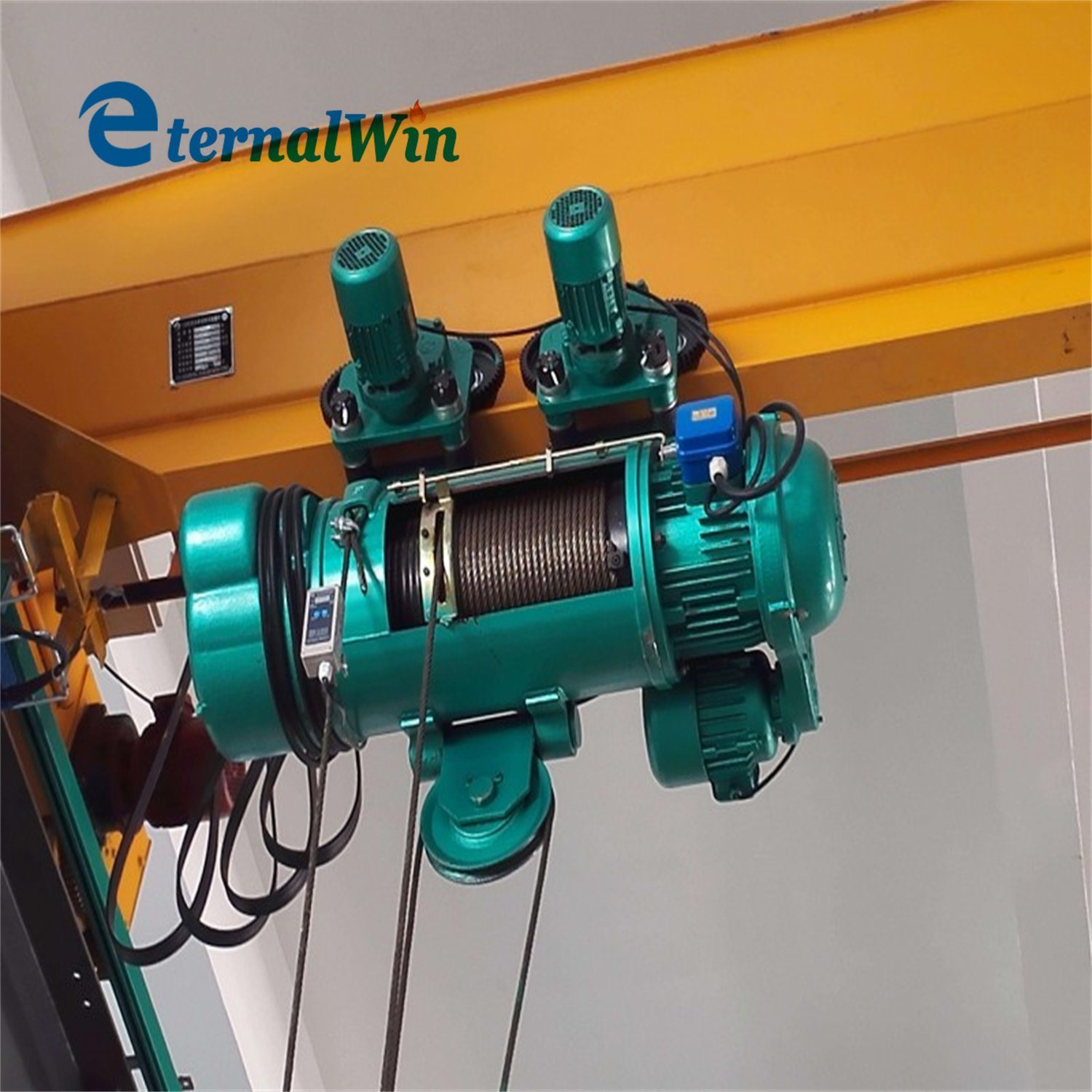 Remote Control 3p 380V 50Hz 8 Ton Electric Hoist with Wire Rope