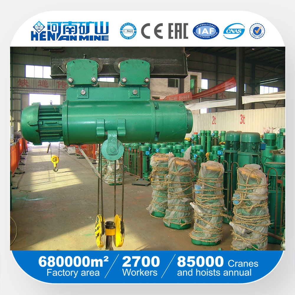 China 
                電気ホイストペンダントボタン制御用ワイヤロープ（ CD/MD ）
             supplier