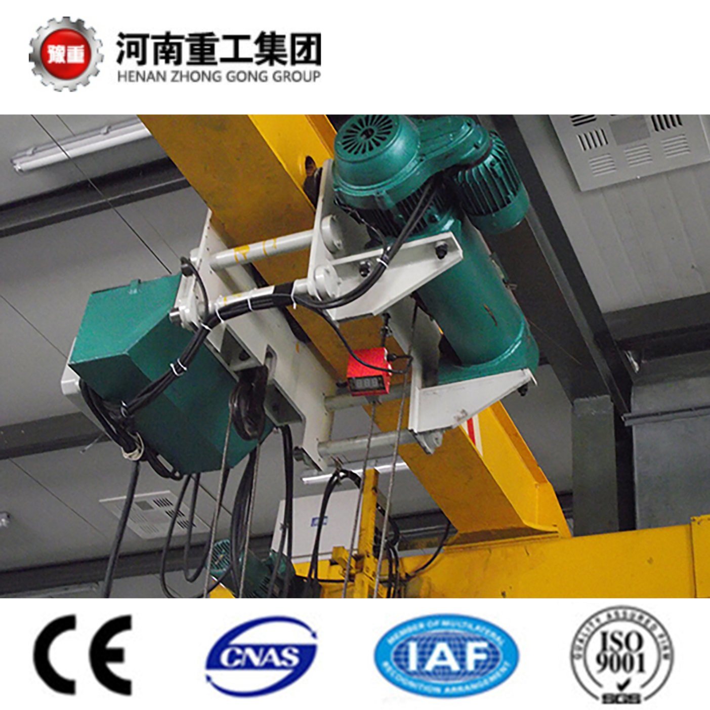 China 
                FEM/ISO Standard 0.25t, 0.5t, 1t, 2t, 3t, 5t, 10t, 16t, 20t Electric Wire Rope Hoist
             supplier
