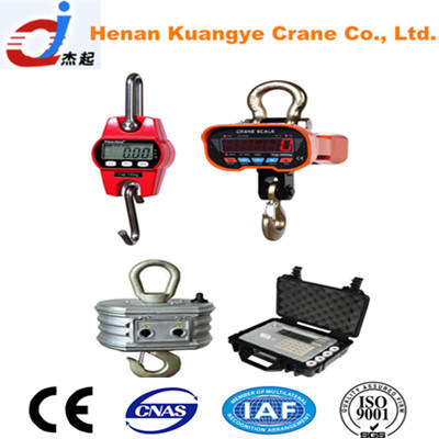 China 
                Hot Sale 1t-50t Crane Weight Scale
             supplier