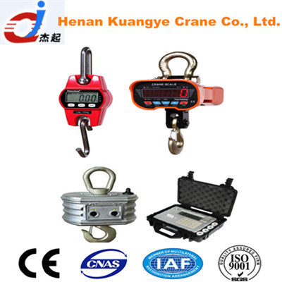 Hot Sale 1t-50t Crane Weight Scale