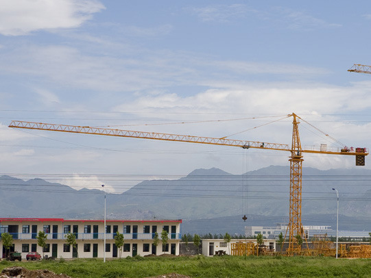 China 
                L125-8f/10f 10 Ton Luffing Jib Tower Crane Construction Equipment
             supplier
