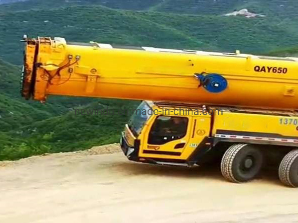 China New 220 Ton All Terrain Crane Xca220