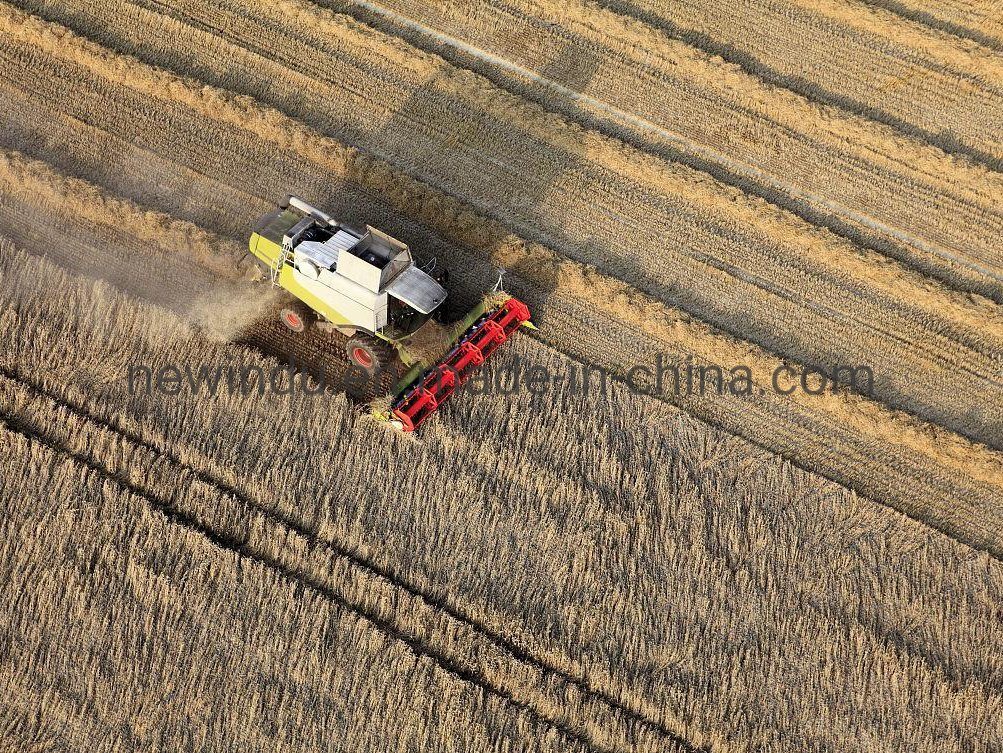 China Top Agriculture Machinery Combine Harvester 4lzt-4.0zd