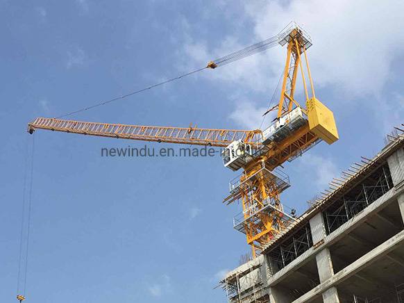 
                La construcción grúa torre y el material de la grúa grúa elevador L250-20
            