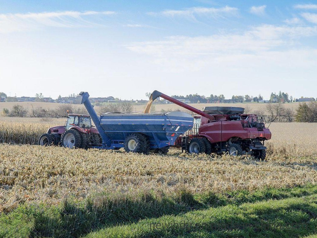 Corn Combine Harvester 4yz-3c1 with Fob Reference Price