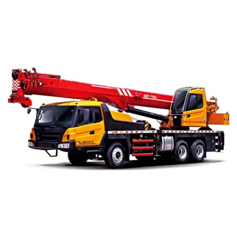 Famous Brand 25 Ton Telescopic Boom Truck Crane Stc250 with 45m Main Boom Length