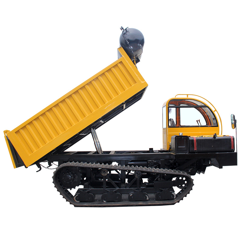 China Brand Accept Customized Agricultural Truck Dumper 5 Tons Farm Dumper