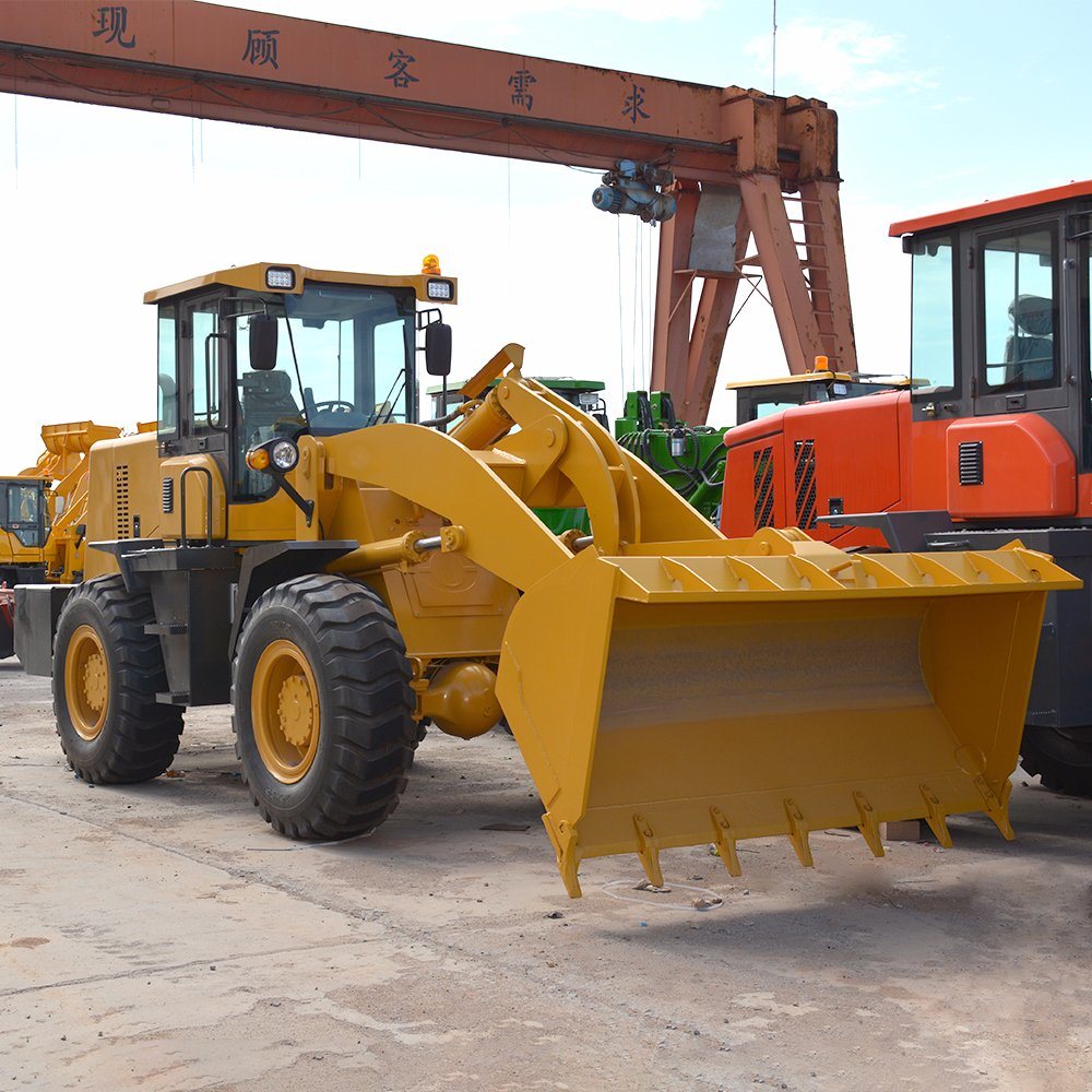 Prompt Delivery Strong Power Types of Wheel Loaders Mini Loader Articulated
