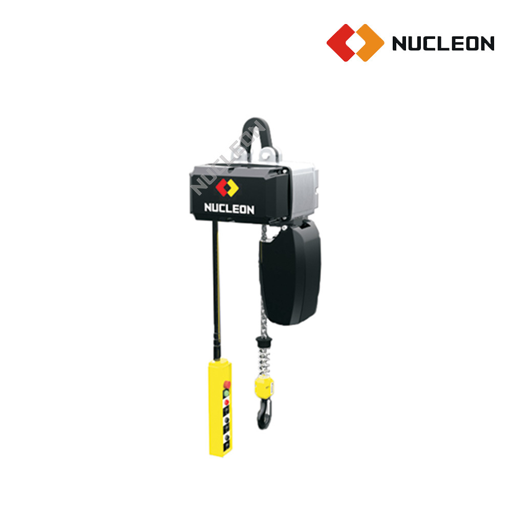 CE Certified 100 Kg 200 Kg 300 Kg 500 Kg Fixed Stand Alone Electric Hoist Lift with G80 Chain Block