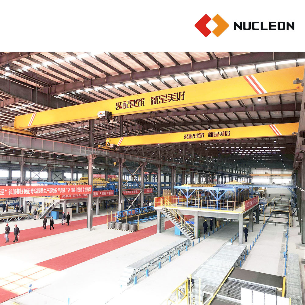 Nucleon High Reliable Single Girder Rope Hoist Top Running Overhead Crane with Motorized Trolly