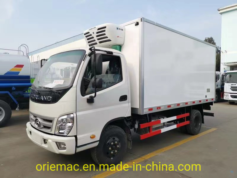 3-5 Ton Mini Seafood Isuzu Freezer Truck in Madagascar