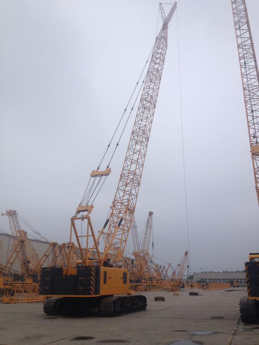 Brand New Crawler Crane Quy100 100 Ton Hydraulic Crawler Crane