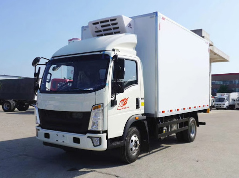 
                HOWO 4*2 5ton Capacity Freezer Refrigerator Truck for Sale
            