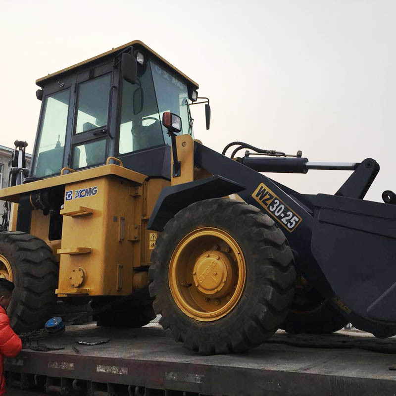 New Mini Backhoe Loader Wz30-25 for Hot Sale