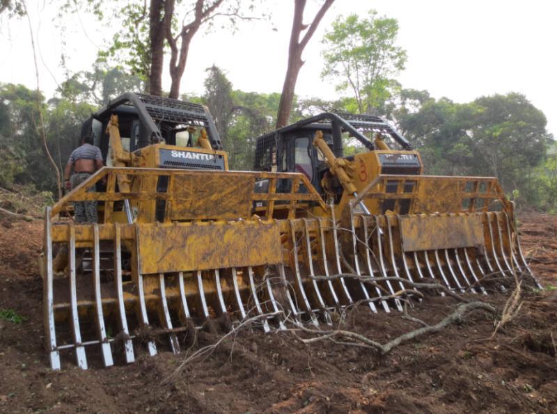 China 
                Str13 Shantui Bosbouw Trimming Bulldozer
             leverancier