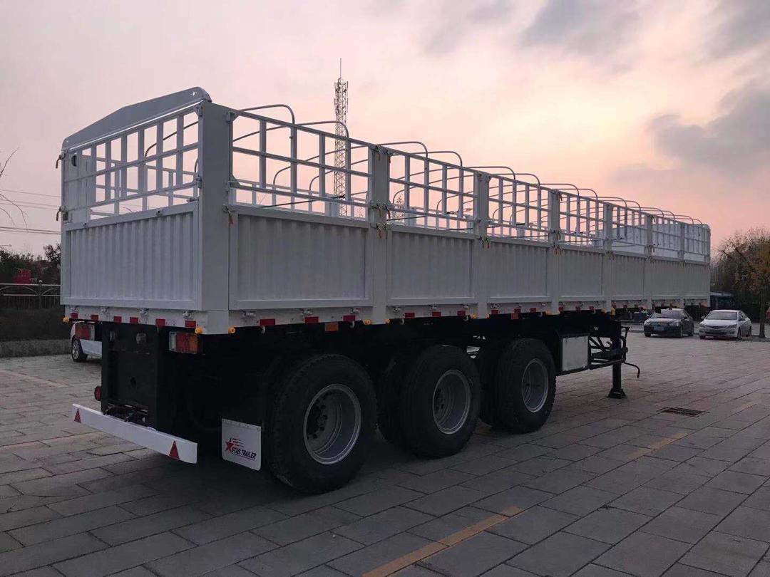 Warehouse Type Side Wall Fence Cargo Semi Trailer