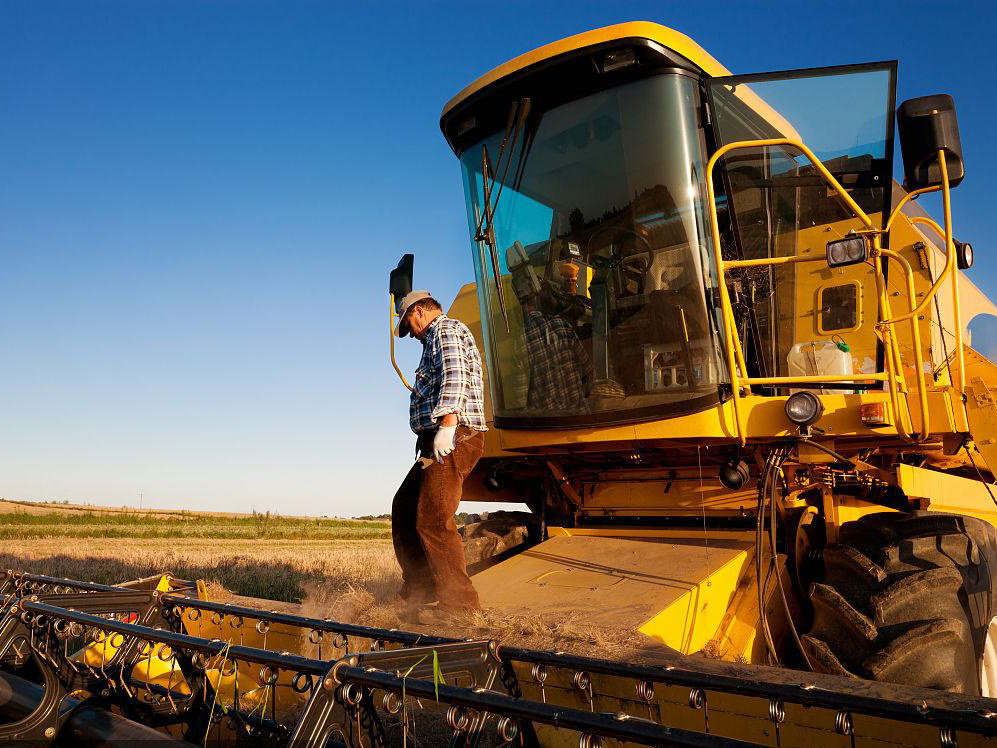 
                A agricultura a máquina colhedora 4lzt-4.0zd ceifeira-debulhadora Arroz
            