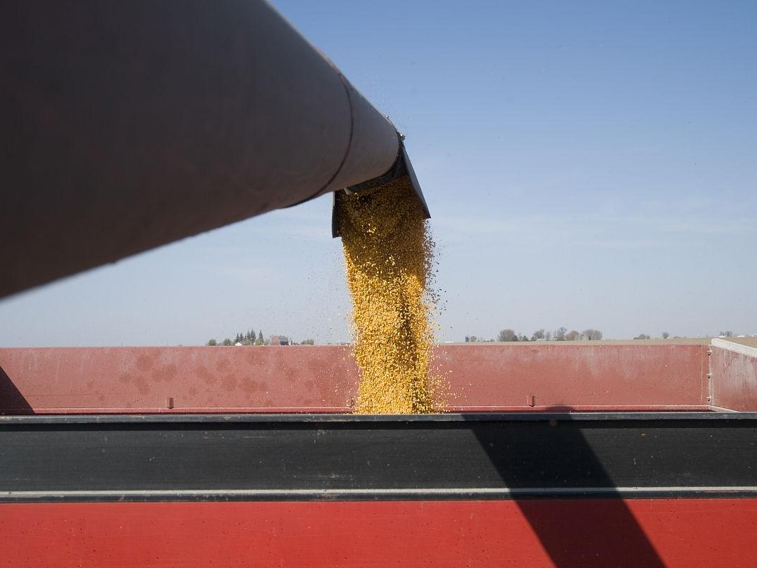 
                Caratteristiche della trebbiatrice per macchine agricole 4lzt-4.0zd trebbiatrice per riso
            