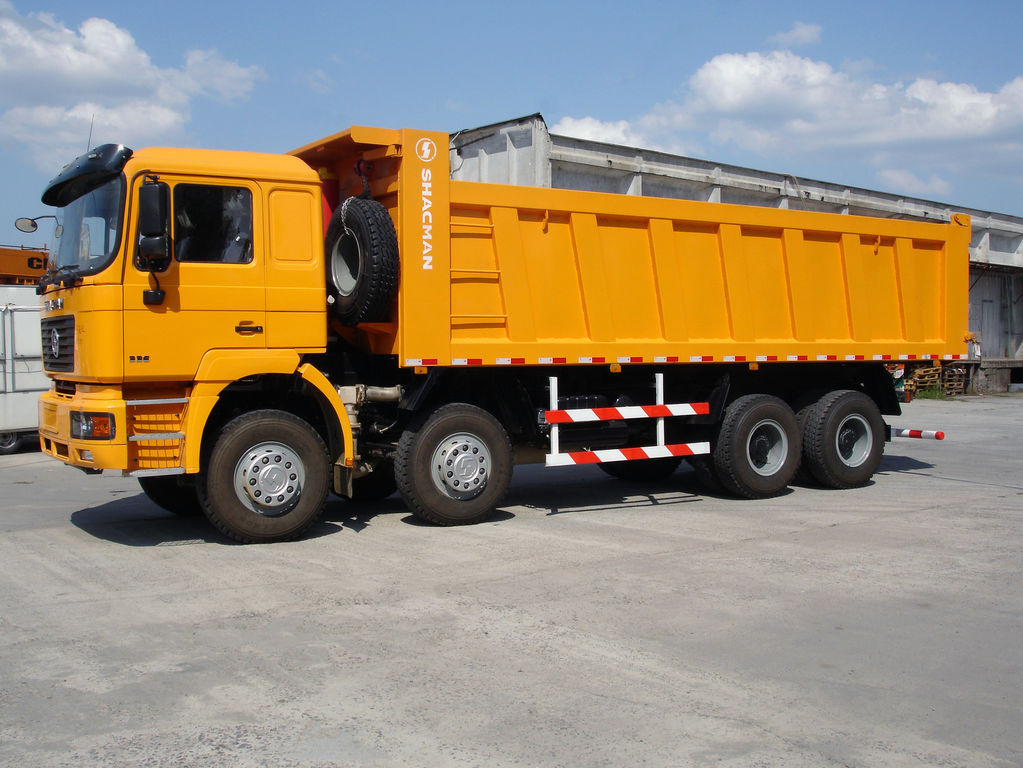 Low Price 8X4 F3000 12 Wheeler Dump Truck in Stock for Sale