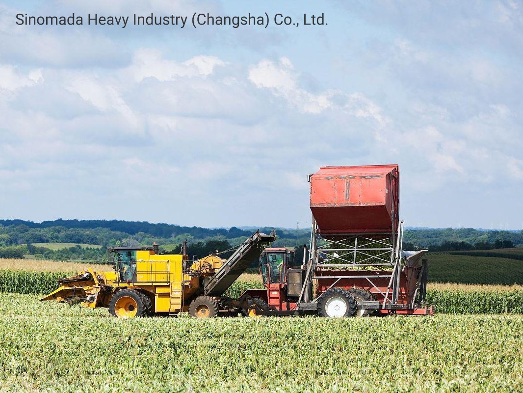 Chine 
                Machines agricoles Mini Wheat Rice Reaper machine à hacheurs de blé Ge60 à vendre
             fournisseur