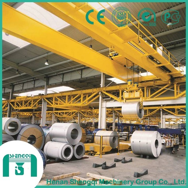 High Quality Lifting Equipment European Type Double Girder Overhead Crane